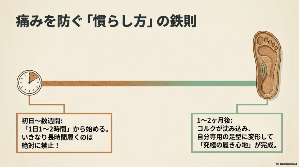 初日は1日1〜2時間から始め、1〜2ヶ月かけてコルクを自分専用の足型に変形させる慣らし方のスケジュール 